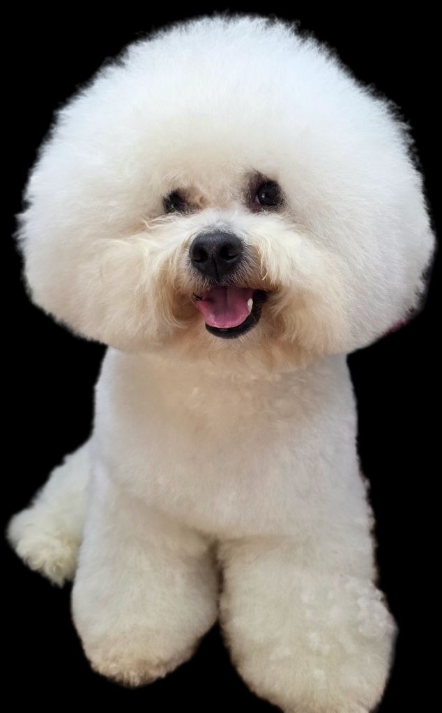 Gucci (Sans Affixe)