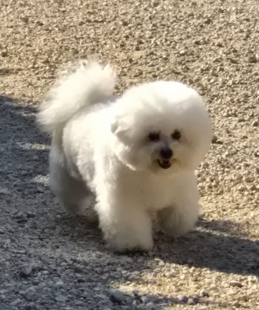 Salsa love du Domaine des Pins d'Aurécanie